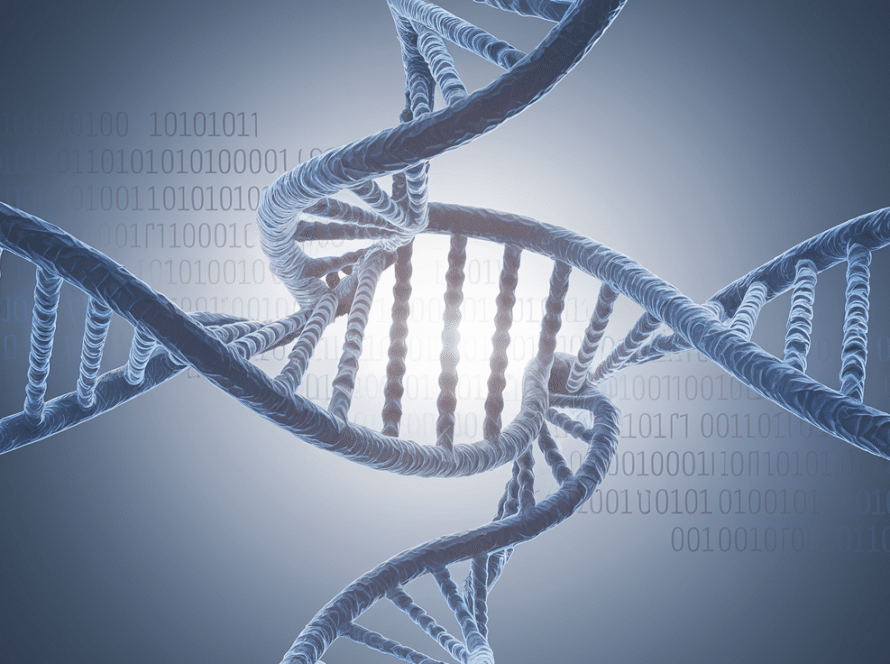 Vector line art of a DNA double helix with one half transforming into a binary code sequence. The helix should be centrally positioned with a soft light source illuminating it from behind.